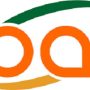 PT Borneo Alumina Indonesia - Layananlokerjatim.com