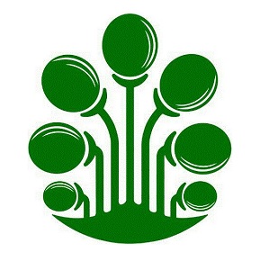 Lowongan Kerja PT Kayu Mebel Indonesia