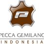 PT Pecca Gemilang Indonesia Lowongan Kerja PT Pecca Gemilang Indonesia